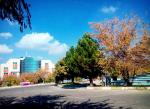 azaruniv