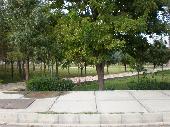 دانشکده الهیات