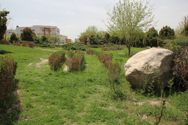 azaruniv