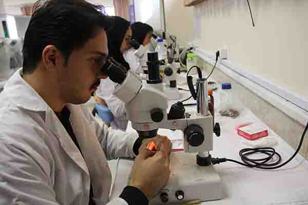 azaruniv